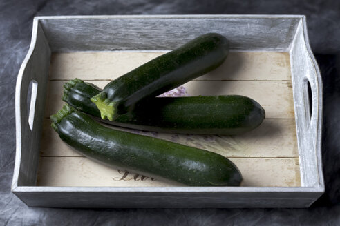 Zucchini auf dem Tablett, Nahaufnahme - CSF019403