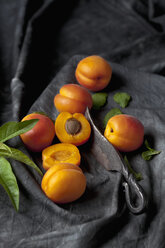 Aprikosen mit Blättern und Messer auf schwarzem Textil, Nahaufnahme - CSF019351