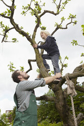 Germany, Cologne, Father helping son to climb tree, smiling - RHYF000387