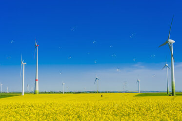 Germany, Saxony, Wind turbines in oilseed rape field - MJF000199