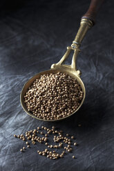 Brass spoon with coriander seeds on textile, close up - CSF019482