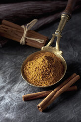 Brass spoon with cinnamon powder and sticks on textile, close up - CSF019473