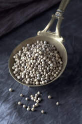 Brass spoon with white peppercorns on textile, close up - CSF019460