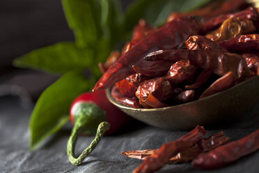 Brass spoon with dried chili peppers and leaves on textile, close up - CSF019625