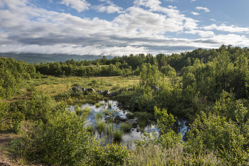 Norway, View of DovrefjellSunndalsfjella National Park - HWO000008