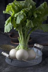 Turnip with straining spoon on tray, close up - CSF019618