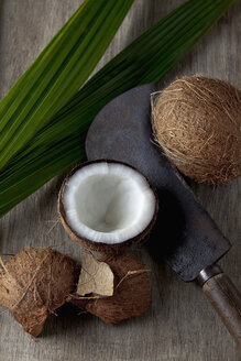 Coconuts with sickle, close up - CSF019617