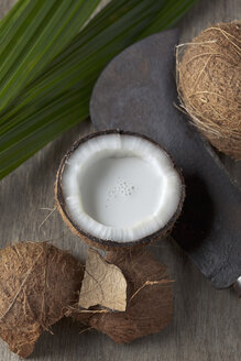 Half coconut with coconut milk and sickle, close up - CSF019615