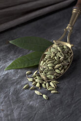 Brass spoon with cardamom seeds and leaves on textile, close up - CSF019587