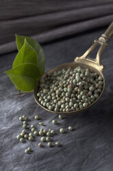 Brass spoon with green peppercorns and leaves on textile, close up - CSF019583