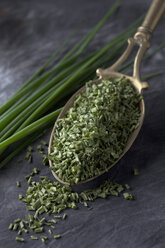 Brass spoon with dried chives and flowering chives on textile, close up - CSF019567