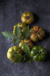 Sizilianische Tomaten mit Blättern, Nahaufnahme - CSF019521