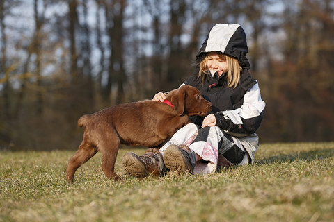 Girl sitting on a meadow playing with labrador puppy stock photo