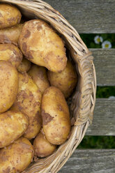 Potatoes in basket, close up - LVF000094