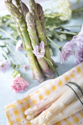 Spargel (Asparagus officinalis) auf Teller mit Blüte, Nahaufnahme - VTF000002