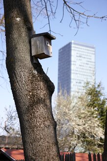 Deutschland, Bayern, München, Vogelhaus am Baum - ED000041