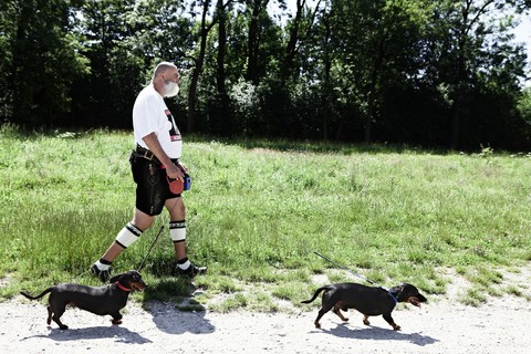 Deutschland, Bayern, München, Älterer Mann beim Spaziergang mit Hunden, lizenzfreies Stockfoto