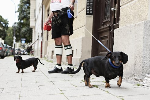 Germany, Bavaria, Munich, Senior man walking with dogs - ED000030