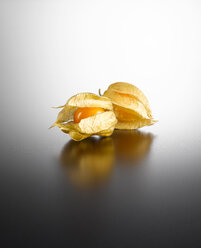 Physalis auf farbigem Hintergrund, Nahaufnahme - KSWF001078