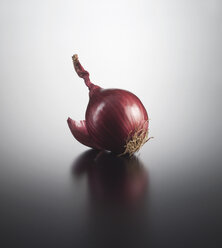 Onion on coloured background, close up - KSW001101