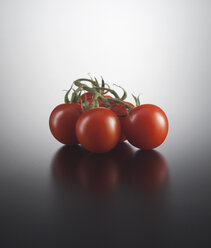 Red tomatoes on coloured background, close up - KSW001107