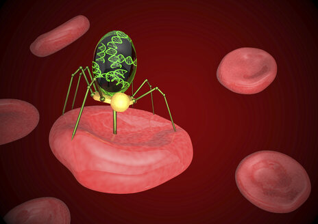 Illustration der Nanorobotik mit DNA im Blut - ALF000079