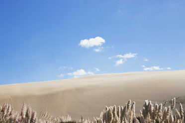 Neuseeland, Blick auf die riesigen Sanddünen von Te Paki - GW002277
