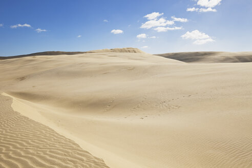 Neuseeland, Blick auf die riesigen Sanddünen von Te Paki - GW002283