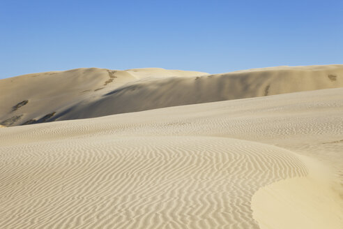 Neuseeland, Blick auf die riesigen Sanddünen von Te Paki - GW002285