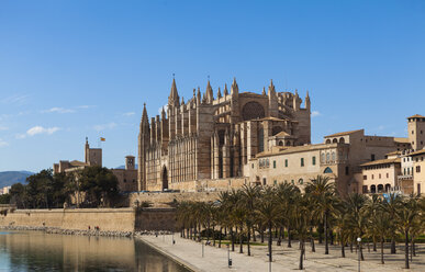 Spain, Mallorca, View of La Seu Cathedral - AMF000324