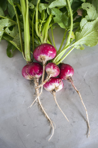 Organic radishes, close up stock photo