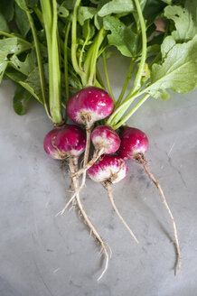 Organic radishes, close up - KJF000227