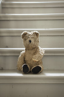 Teddybär auf Stufen - FMKYF000444