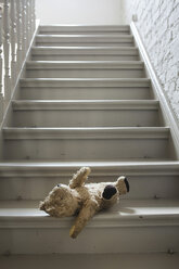 Teddybär auf Stufen - FMKYF000443