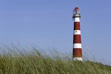 Niederlande, Westfriesische Inseln, Westfriesland, Ameland, Holum, Leuchtturm - APF000002