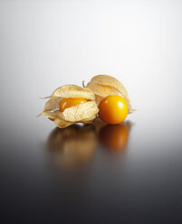 Physalis auf farbigem Hintergrund, Nahaufnahme - KSW001136