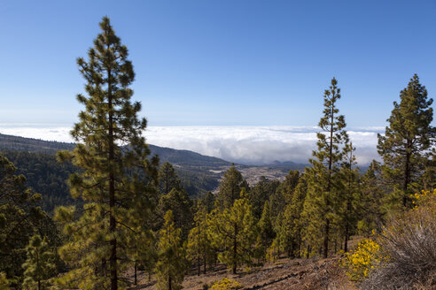 Spanien, Ansicht des Nationalparks Corona Forestal - AMF000488