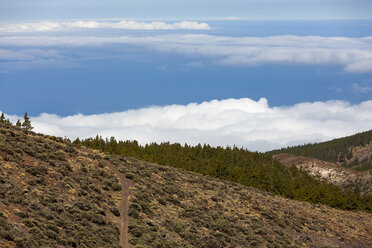 Spanien, Blick auf den Teide-Nationalpark - AMF000513