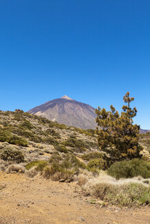 Spanien, Blick auf den Teide-Nationalpark - AM000483