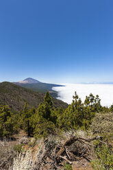 Spanien, Blick auf den Teide-Nationalpark - AMF000518