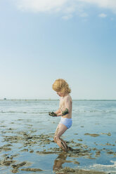 Germany, Schleswig Holstein, Boy playing in mud at beach - MJF000214