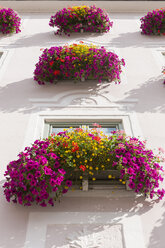 Deutschland, Bayern, Dekoriertes Fenster mit Blumen - AM000467