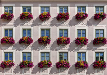 Germany, Bavaria, Decorated window with flowers - AM000466