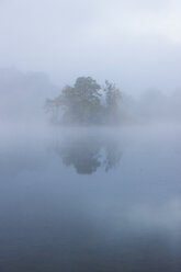 Deutschland, Bayern, Blick auf Nebel auf der Insel Staffelsee - AMF000555