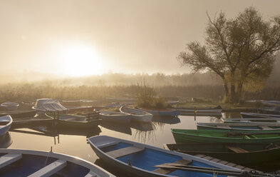 Deutschland, Bayern, Blick auf Nebel auf Boot in der Morgendämmerung - AM000558