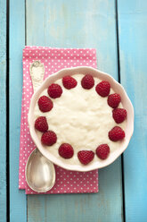 Rice pudding in bowl, close up - OD000118