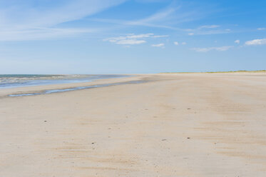 Dänemark, Romo, Sanddünen an der Nordsee - MJF000245