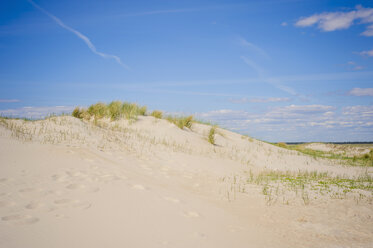 Dänemark, Romo, Sanddünen an der Nordsee - MJF000254