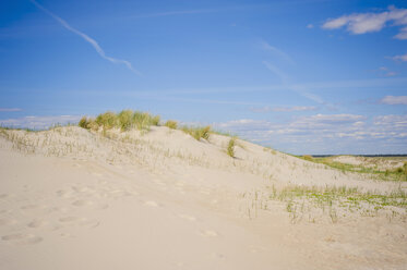 Denmark, Romo, Sand dunes at North Sea - MJF000254