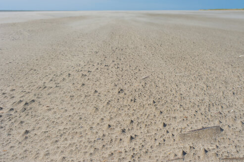 Dänemark, Romo, Sanddünen an der Nordsee - MJF000256